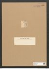 Diatomeae indet. Zeichnungen Sammlung Grunow Nr. 5828 (NHMW-BOT-W0374253)